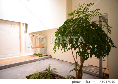 Shilin District Taipei city Taiwan 23947050