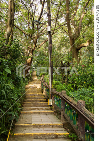 Yuanshan Morning Trails Yuanshan Morning Trails 23947289