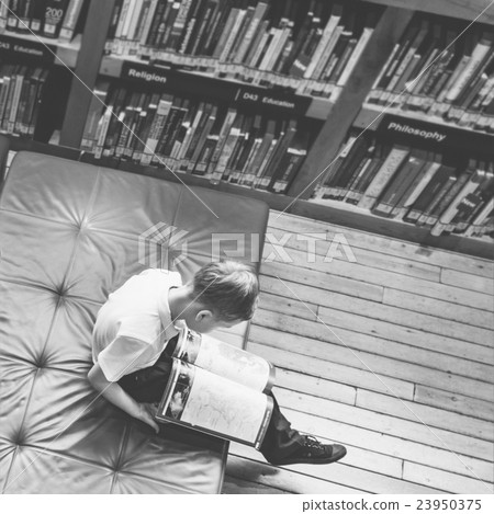 Boy Reading Book Studying Knowledge Concept Boy Reading Book Studying Knowledge Concept 23950375