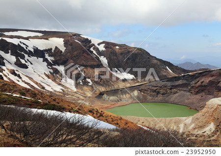 Zao no Ochama 23952950