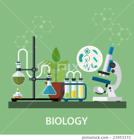 Biology laboratory workspace Biology laboratory workspace 23953372