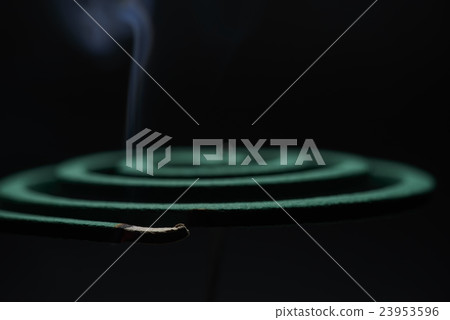 Mosquito coil with fire Mosquito coil with fire 23953596