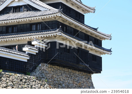 Nakatsu Castle Nakatsu Castle 23954018