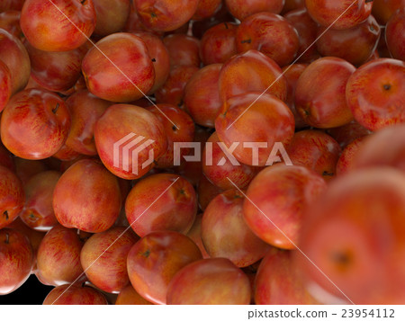 Many Red ripe apples Many Red ripe apples 23954112