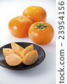 Persimmon (Tominari persimmon) 23954156