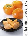 Persimmon (Tominari persimmon) 23954157