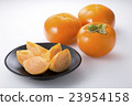 Persimmon (Tominari persimmon) 23954158