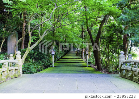 白山Ryoujin神社入口和橋樑 白山Ryoujin神社入口和橋樑 23955228