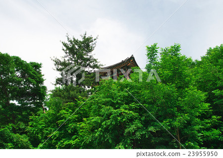 Korean historic castle surrounded by green trees Korean historic castle surrounded by green trees 23955950