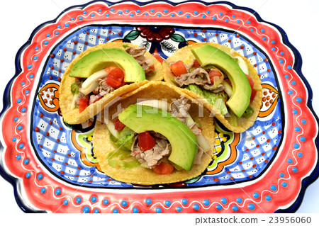 Tacos de Sarpicon(Salpicon's Tacos) Tacos de Sarpicon(Salpicon's Tacos) 23956060