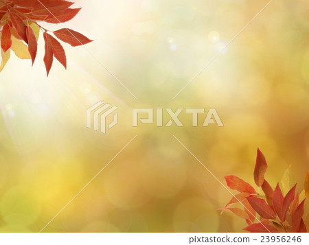 自然背景 23956246