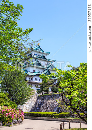 Fresh green season Nagoya castle 23957158