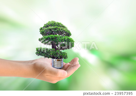Human hands holding the energy saving lamp of tree Human hands holding the energy saving lamp of tree 23957395