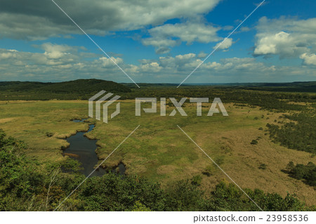 Kushiro Wetland (Kotaro Mogara) Kushiro Wetland (Kotaro Mogara) 23958536