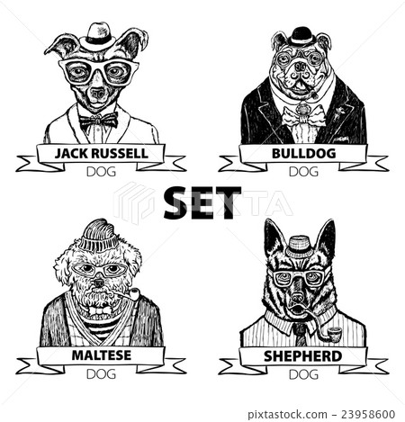 Hipster animals set dog, with glasses and bow 23958600