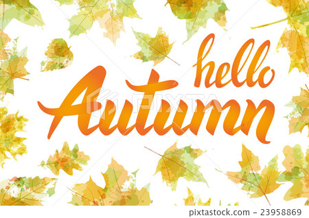 nature leaf. Hello, Autumn. Watercolor orange nature leaf. Hello, Autumn. Watercolor orange 23958869