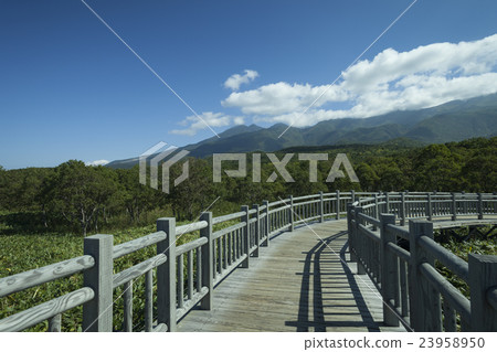 走知床-3 23958950