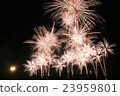 Fireworks 23959801