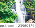 Beautiful waterfall and green maple tree 23960479