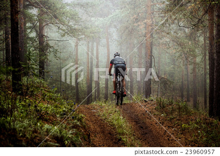 mountainbiker rides a bicycle along a forest trail 23960957