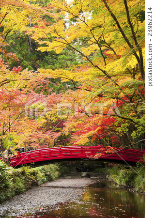 Oguni Shrine Oguni Shrine 23962214