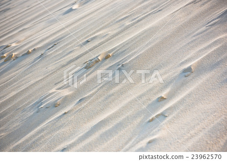 The dune of Pyla, Europe's highest dune The dune of Pyla, Europe's highest dune 23962570