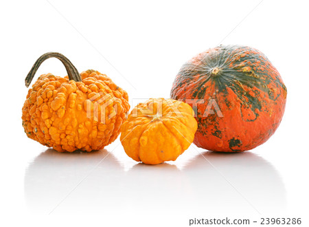 Mini pumpkins Mini pumpkins 23963286