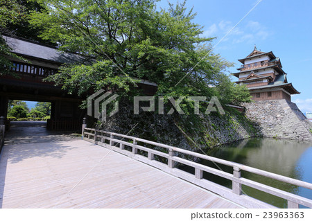 Takashimaro 23963363