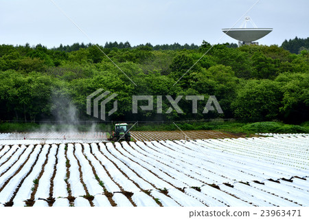 Nobeyama高原 23963471