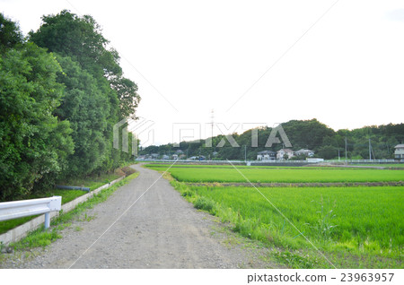 埼玉縣名川町的照片 23963957