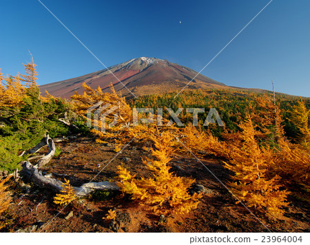 Autumn of Fukui Fuji 23964004