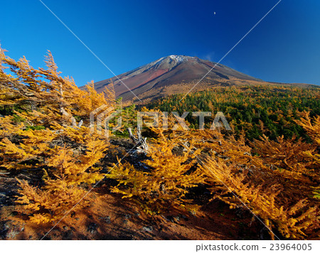 Autumn of Fukui Fuji 23964005