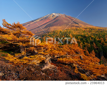 Autumn of Fukui Fuji 23964013