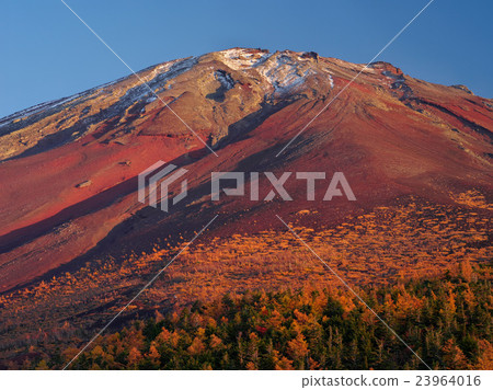 Autumn of Fukui Fuji 23964016