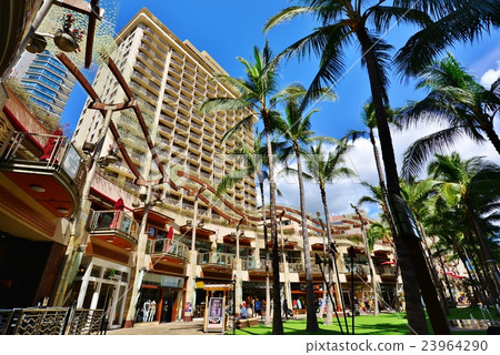 夏威夷的假期 23964290