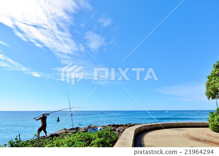 夏威夷的假期 夏威夷的假期 23964294
