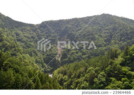 Photograph of Kawane Honcho New Bridge Ohashi Bridge 23964466