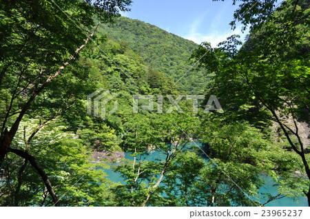 Photograph of Susumugyo Onsen dream suspension bridge Photograph of Susumugyo Onsen dream suspension bridge 23965237