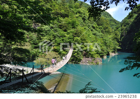 Susumugyo溫泉夢想吊橋的照片 Susumugyo溫泉夢想吊橋的照片 23965238