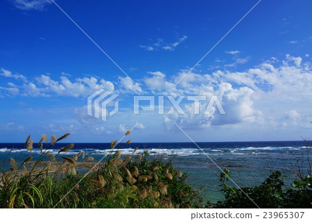 Hakojo海灘 Hakojo海灘 23965307