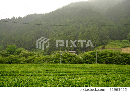 Shizuoka city Kizusawa district Shizuoka city Kizusawa district 23965435