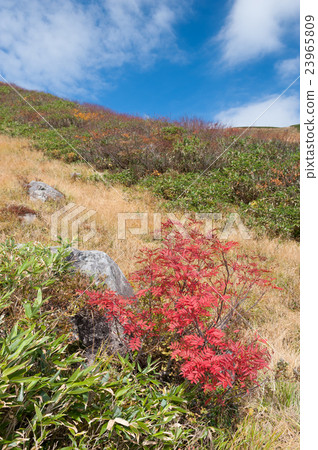 Tsukiyama and Nanakamado 23965809