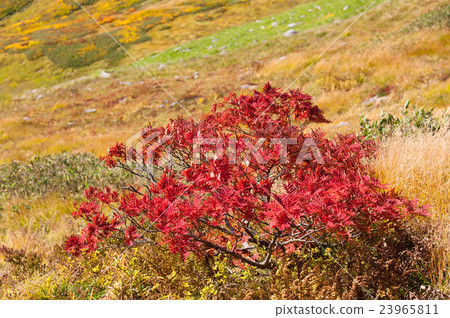 Tsukiyama and Nanakamado 23965811