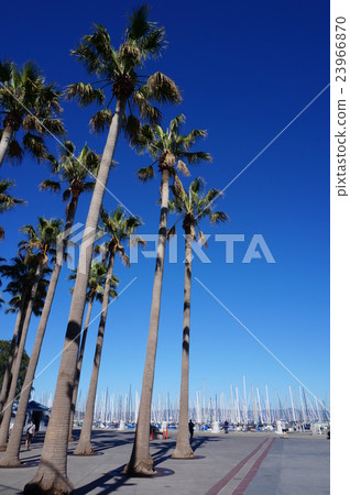 San Francisco harbor 23966870