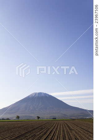 秋葉和羊蹄山 23967506