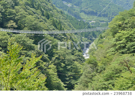 Suspension bridge 23968738