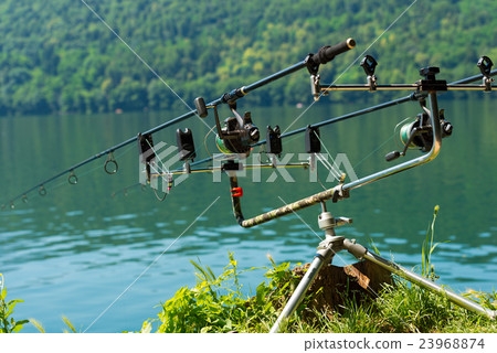 Carp Fishing Rods with Reel on Support System 23968874