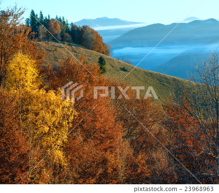 Morning fog in autumn Carpathian. 23968963