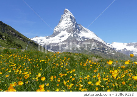 Scenery of Matterhorn 23969158