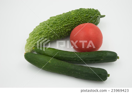 Summer vegetables - Goya, tomatoes, cucumber 23969423